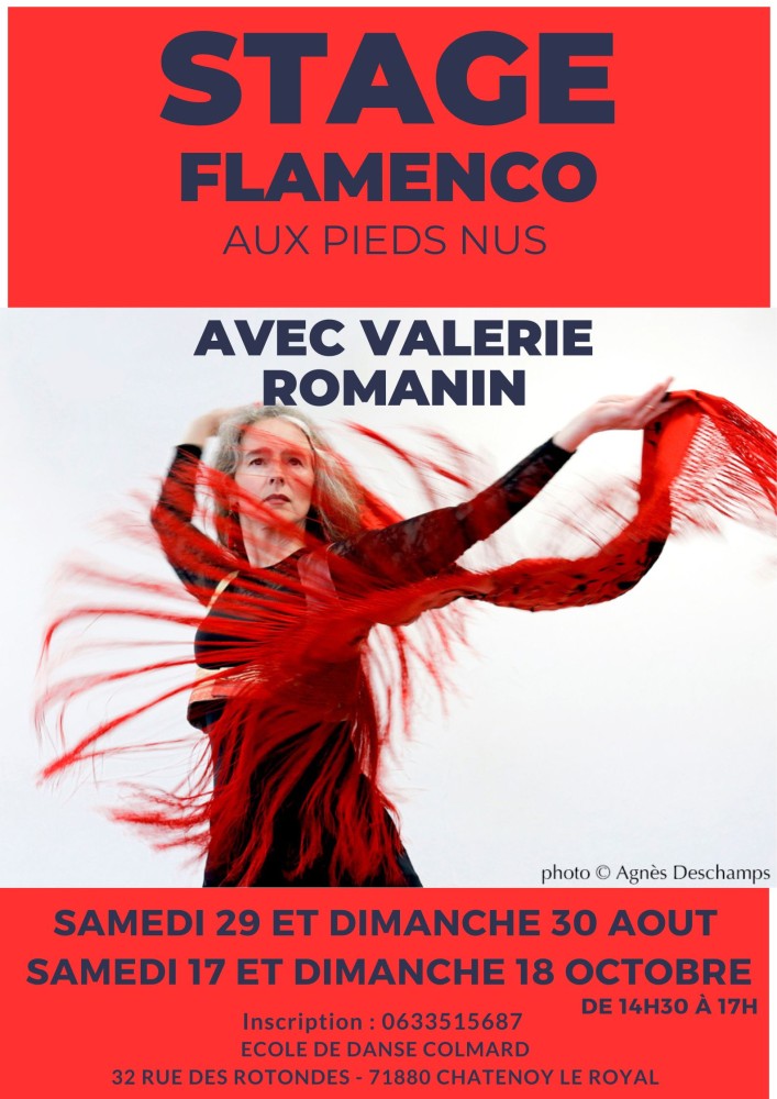 2026 FLAMENCO.jpg